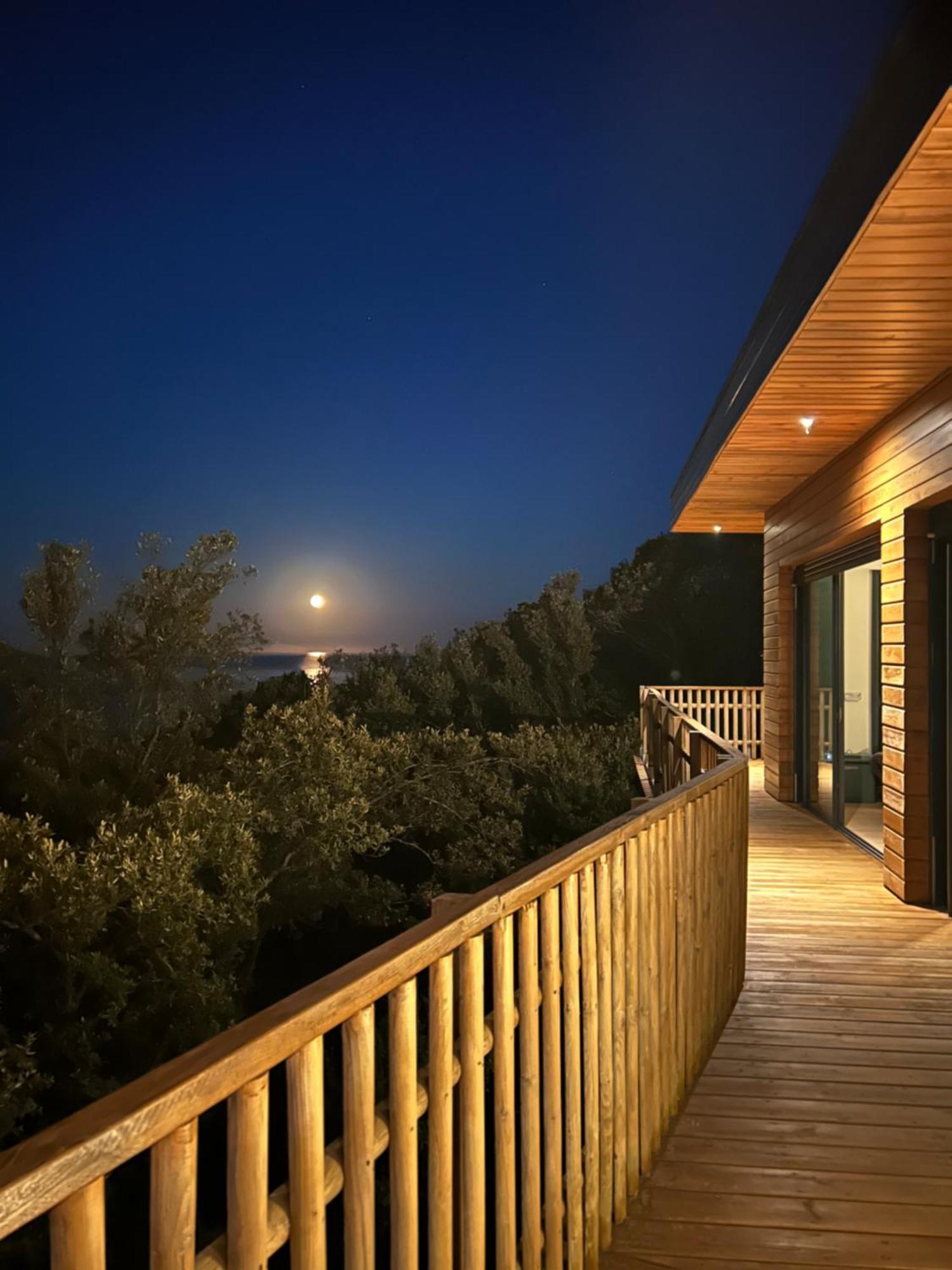 Villa L'Alpana En Bois Vue Mer A 180 Degres Сарі-Соленцара Екстер'єр фото
